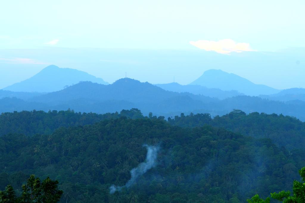 Delma Mount View Hotel แคนดี้ ภายนอก รูปภาพ
